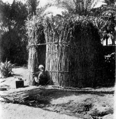 This image,  from the Oriental Institute, University of Chicago, is of a reed and mud hut, perhaps the type that would have been built around and Iset of a Deity in an early Egyptian period.